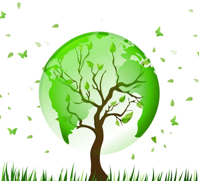 ENVIRONMENT AND SUSTAINABILITY